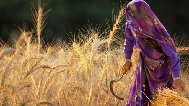 ખેતી, ખેતર, ગુજરાત, કિસાન, કૉંગ્રેસ, ભાજપ, આપ, જગતનો તાત, ગોપાલ ઇટાલિયા, જિજ્ઞેશ મેવાણી, પાલભાઈ આંબલીયા, સુરેન્દ્રનગર, મોરબી મોરબીથી ખેડૂતોની જે રેલી નીકળી છે તેને આમ આદમી પાર્ટી પણ સમર્થન આપ્યું છે.
