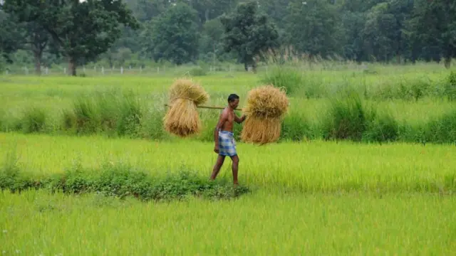 మావోయిస్టులు, బస్తర్, డీఆర్‌జీ, కేంద్ర ప్రభుత్వం, అమిత్‌షా, ఆదివాసీలు