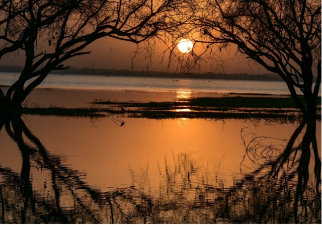 محمية غابة السنط في الخرطوم