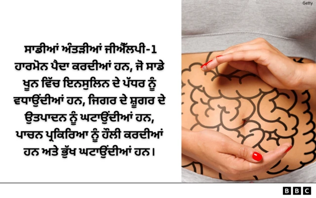 ਅੰਤੜੀਆਂ