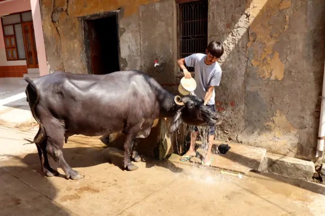 संग्रहित छायाचित्र