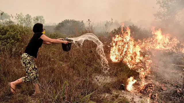 Seorang penduduk desa mencoba memadamkan kebakaran lahan gambut di pinggiran kota Palangkaraya, Kalimantan Tengah pada tanggal 26 Oktober 2015.