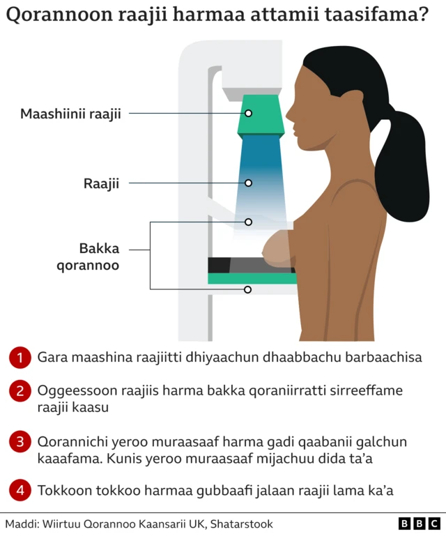 Mala haarawaa ittiin kaansariin harmaa adda baafamu