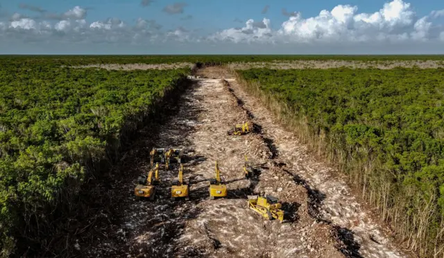 Escavadeiras trabalhando na selva para abrir a rota do trem