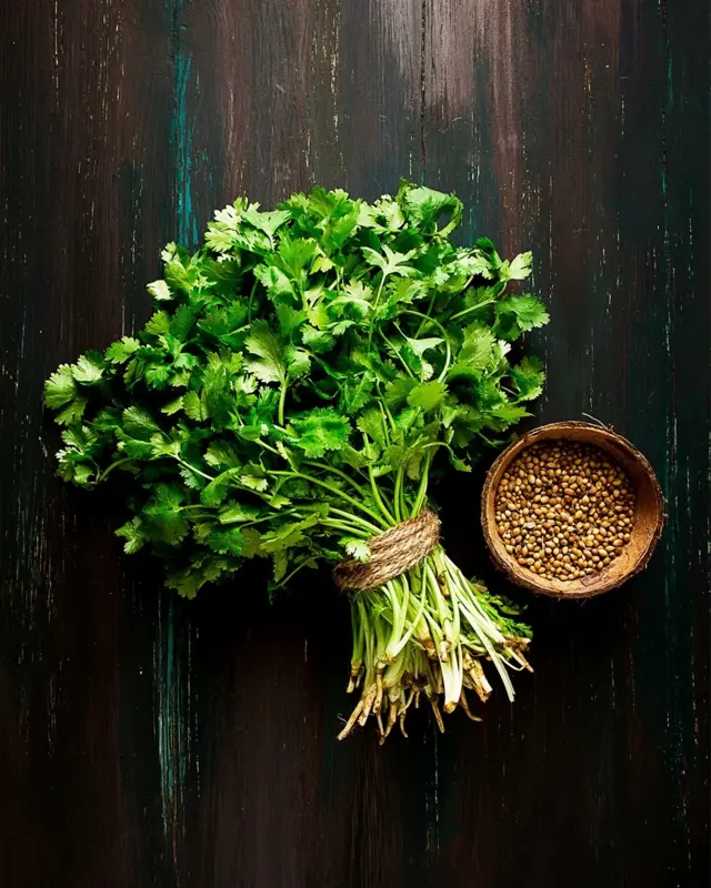Every part of the coriander plant – from root to leaf – can be used in cooking