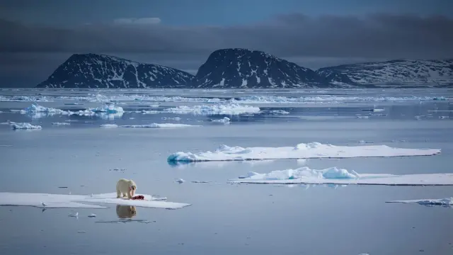 North Pole