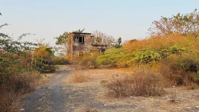 ઉનાકાંડ, ઉનામાં દલિત સાથે મારામારી, વર્ષ 2016નો કેસ, વેરાવળની કોર્ટે ચુકાદો આપ્યો, કેમ 35 આરોપીઓ છૂટી ગયા, બીબીસી ગુજરાતી