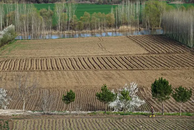 Diyarbakır Hevsel Bahçeleri
