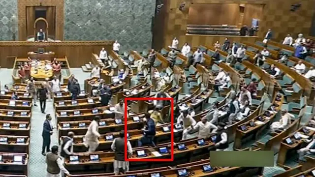 સંસદમાં યુવક