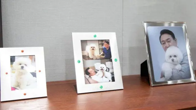 Current President Yoon Suk Yeol and his wife own six dogs and have called for a ban on dog meat