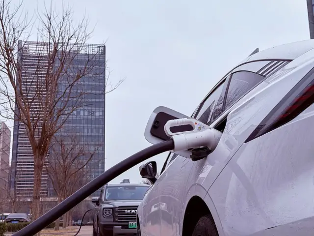 ਈਵੀਜ਼ ਦੀ ਭਰਮਾਰ