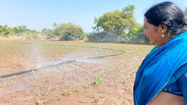 भोपळे मावशी 