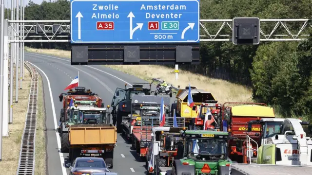 Hollanda çiftçi eylemi