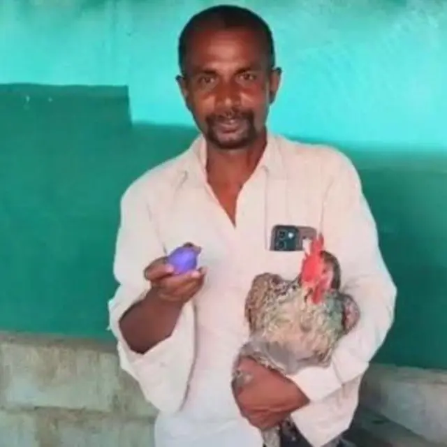 கோழி நீல நிற முட்டை முட்டையிட்டது ஏன்?