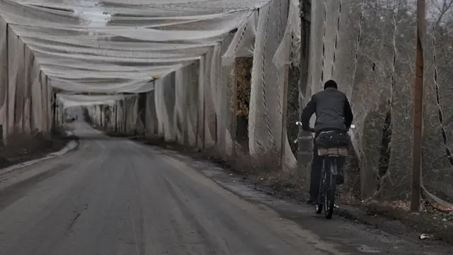 Чоловік їде на велосипеді дорогою в Костянтинівці, вкритою антидроновою сіткою