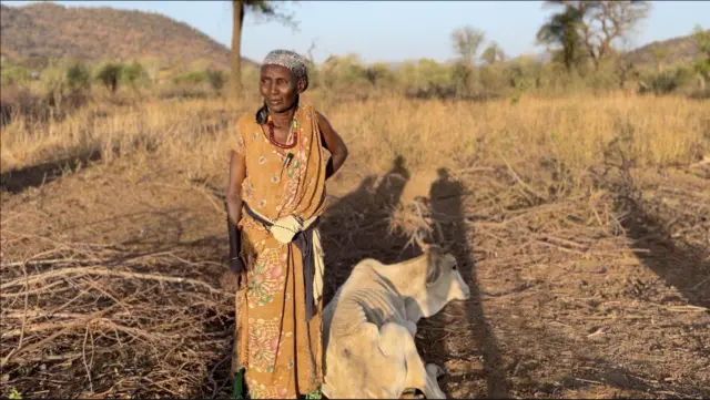 Aadde Aashaa fi sa'ashee