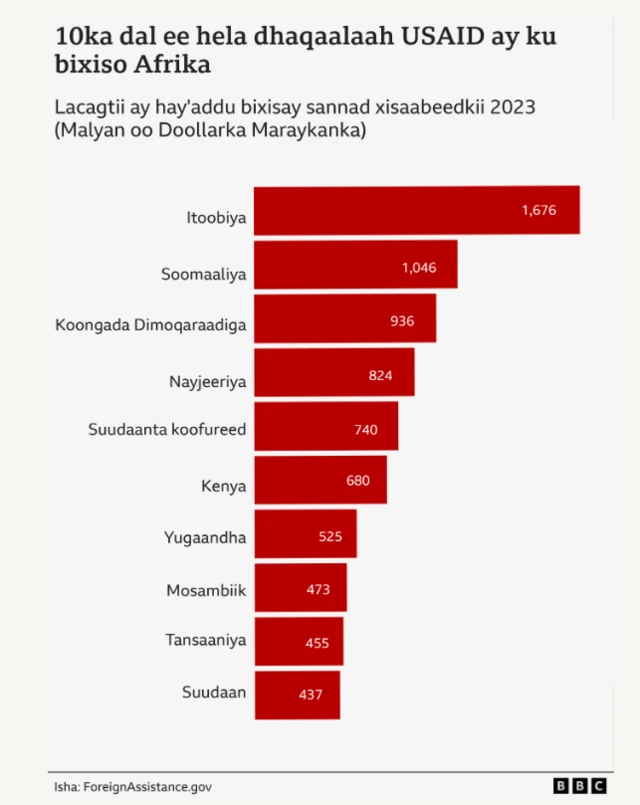 Soomaaliya maadama muddo burbursaneed isla markaana dadkeedu inta badan ku tiirsanyihiin gargaarka dibadda waxaa la rumeysanyahay in USAID ay tahay hay'adda ugu weyn ee gacan siin jirtay.