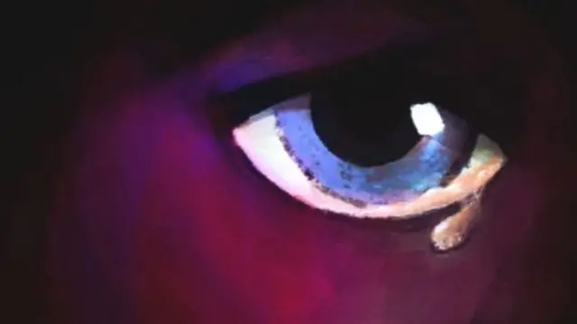 ਘਰੇਲੂ ਹਿੰਸਾ