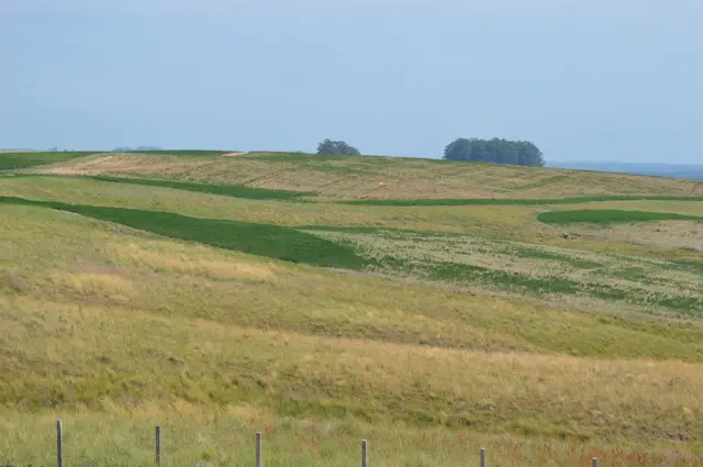 Campo com poucas árvores ao fundo 