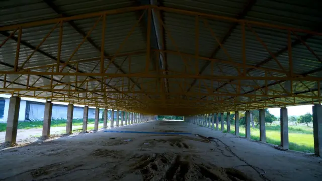 ఈసీ కోళ్ల ఫారాలు 