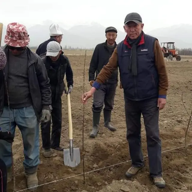 Манас Саматов багбандар менен