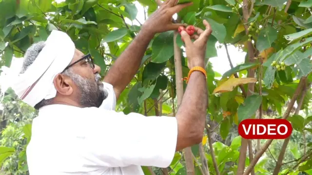 సీడ్ మ్యాన్