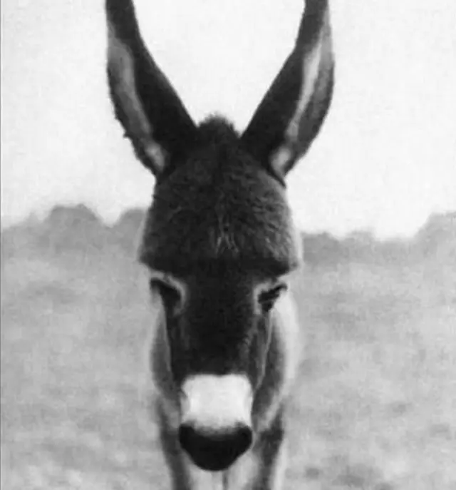 रघु राय यांनी काढलेला पहिला फोटो