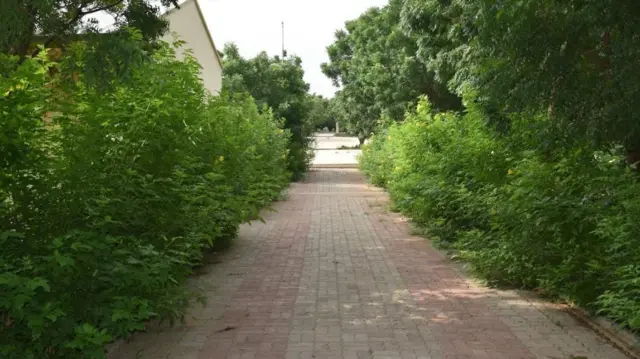 ቤት-ትምህርቲ ሕርሻን ቴክኒክን ሓጋዝ