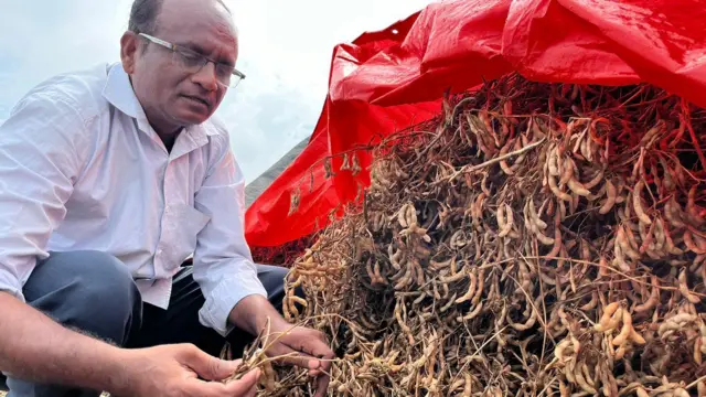 शेतकरी सोमिनाथ देसाई