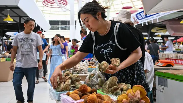 పుట్టగొడుగులు