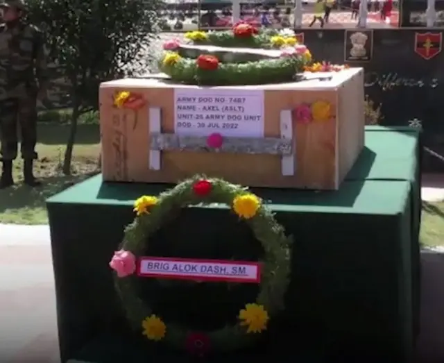 ఆర్మీ శునకాలు