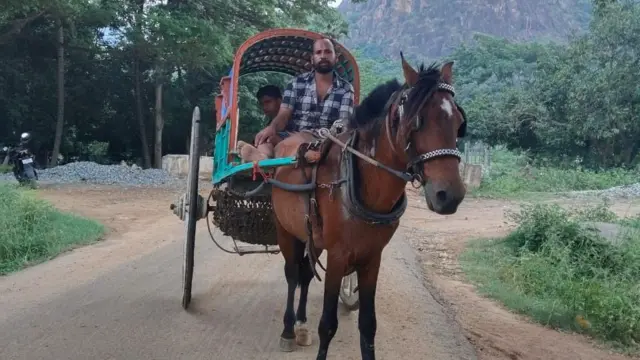  குதிரைகள், கோவை, விலங்குகள், விலங்கு நலம், ரேக்ளா பந்தயம்