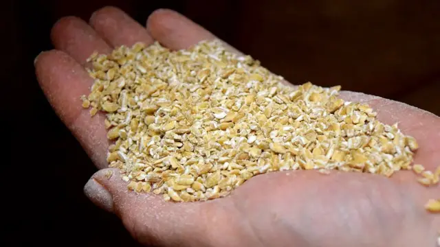 เมล็ดข้าวสาลี คือ ส่วนประกอบที่พบโดยทั่วไปในการทำเบียร์ในยุคโบราณ 