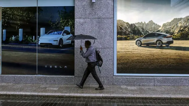 टेस्ला इंडिया