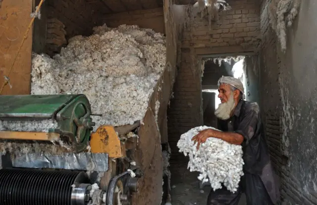 یو بابا چې مالوچ یې په لاس کې نیولي