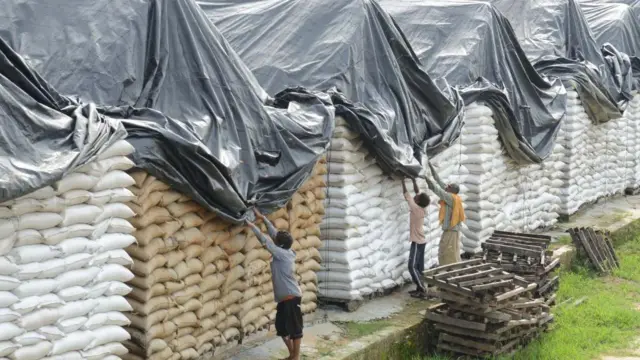 ਅਨਾਜ ਭੰਡਾਰਨ