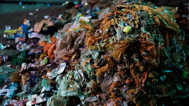 تاسو کولی شئ د ویلنیوس د خوړو د ضایعاتو د دې ډېران په منځ کې نوي نارنجي کڅوړې وګورئ.