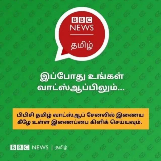 ஸ்டார்லிங்க், செயற்கைக்கோள், ஈலோன் மஸ்க்
