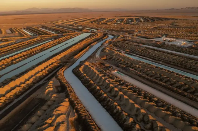 பருத்தியிலிருந்து பேட்டரி