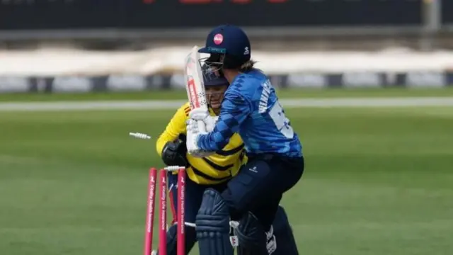 క్రికెట్ 