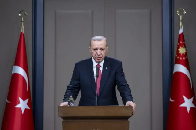 erdogan 