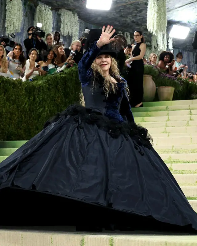 Stevie Nicks wear voluminous black gown wit top hat.