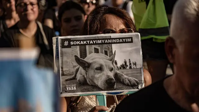 Bir kadının elindeki pankartta köpek resmi var, üzerinde "Sokaktayı yanındayım" yazıyor.

