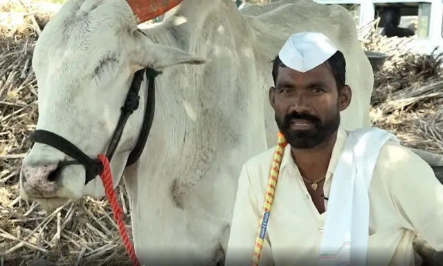 Farmer Bull Friendship : કૅન્સરમાં પોતાના બળદની બંને આંખ ગુમાવ્યા પછી આ ખેડૂત તેને કેવી રીતે સાચવે છે?
