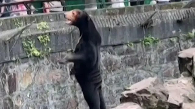 கரடியிலும் போலியா?