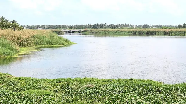 డ్రెయిన్