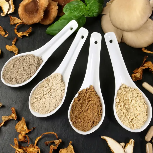 Polvos de hongos medicinales. Cuatro tipos diferentes de polvos de hongos en cucharas, con los distintos tipos de hongos alrededor sobre una pizarra negra.