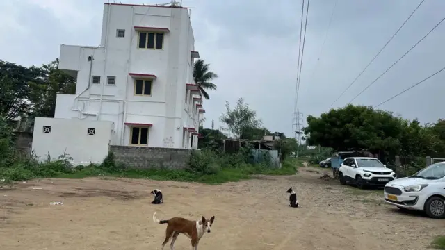 கோவையில் பூங்கா, சாலை இடத்தை மனையாக மாற்றியது செல்லாது: நீதிமன்ற தீர்ப்பு கூறியது என்ன?