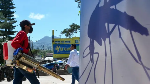 EEE வைரஸ், கொசு