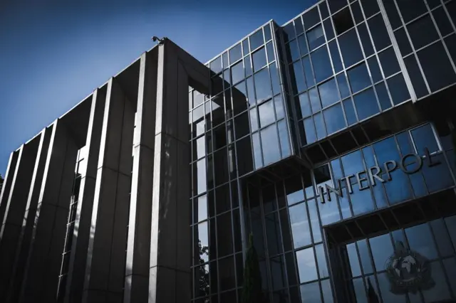 इंटरपोल